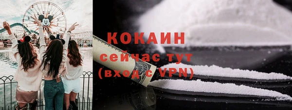 кокс Белокуриха