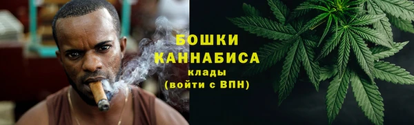 кокс Белокуриха