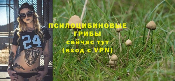 эйфоретик Беломорск