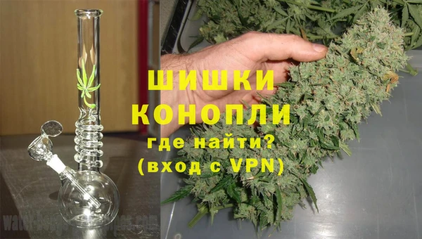 кокс Белокуриха