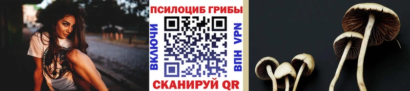 Галлюциногенные грибы Magic Shrooms  мориарти клад  Семикаракорск 